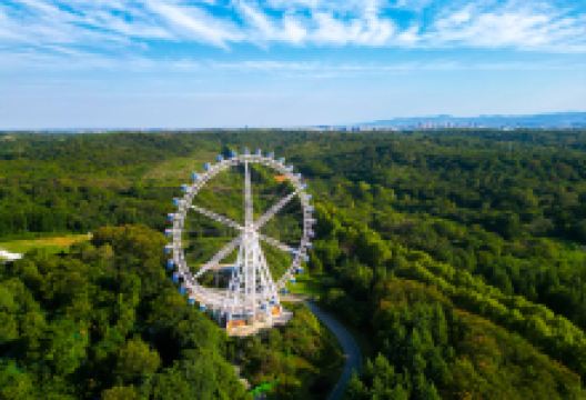 龙背山森林公园景点图片