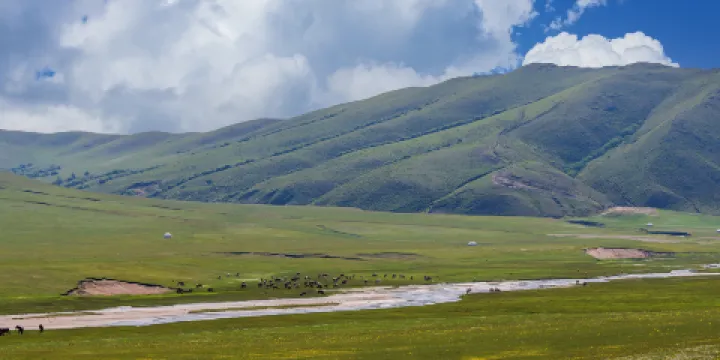 紮魯特旗山地草原旅遊區(軍馬場)
