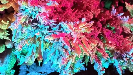 雙峯山雪花洞景區