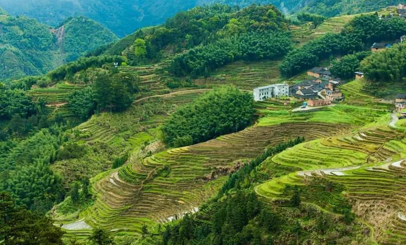 永安旅遊