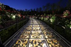 拉格娜登堡游乐园-蒲郡市-C-IMAGE