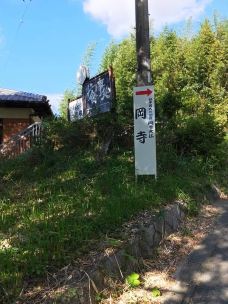 Oka Temple-明日香村-翱翔的大鲨鱼