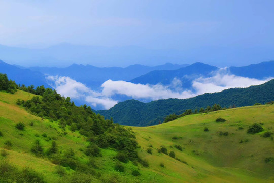 愿做岚皋画中人——神田草原、千层河,我还会回来的!
