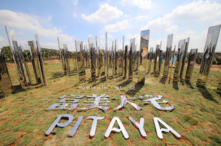 千亩火龙果花开,带你看不一样的大宅