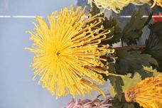 龙亭景区-开封-YoYo_2Z3S4W2W