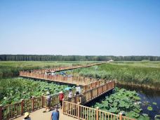 白洋淀风景区-雄县-有态度的拍拍