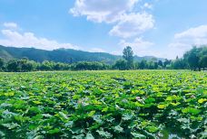 团山民居-建水-C-IMAGE