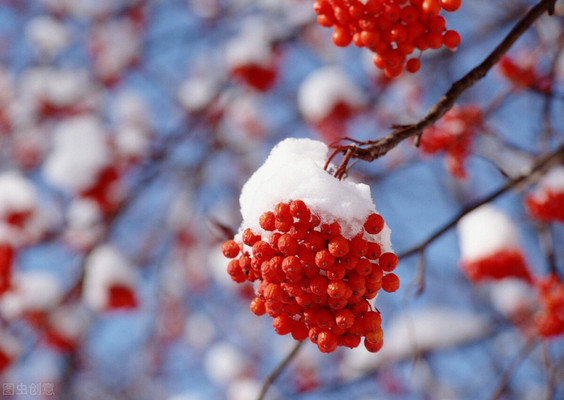 宁波赏雪攻略,置身于负氧离子的空气中,享受属于冬日的畅快之旅