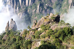 宏村游记图片] 一个人的旅行---十天玩转黄山、三清山、婺源、武夷山、龟峰、宏村