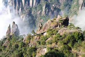 黄山风景区游记图文-一个人的旅行---十天玩转黄山、三清山、婺源、武夷山、龟峰、宏村