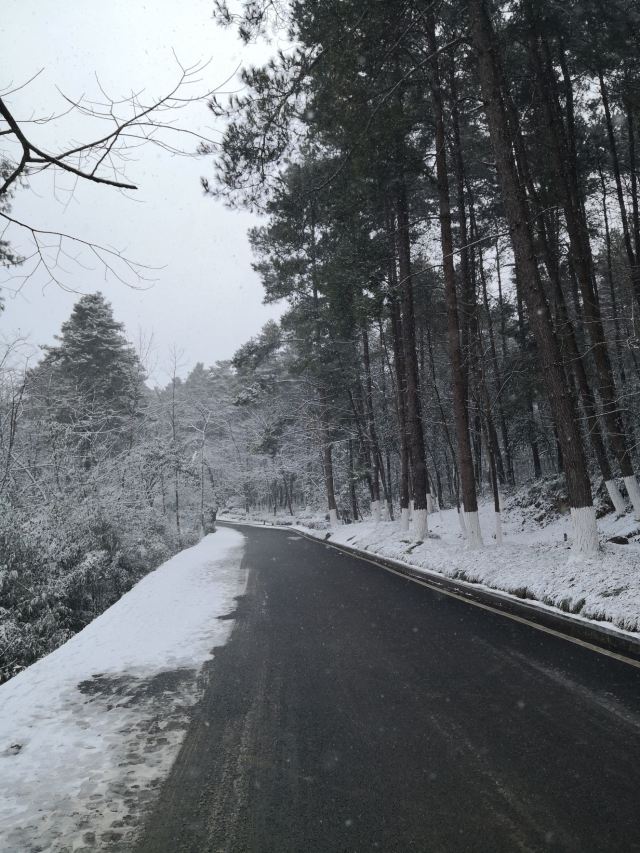 长坡岭国家森林公园旅行图片 2