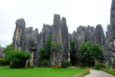 小石林景区-阿诗玛-石林-YoYo_6R5F2H0S