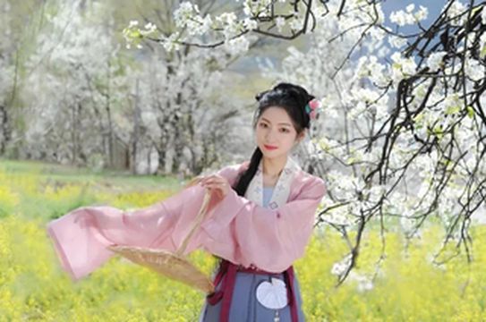 最新实拍！金川梨花，又又又又刷屏了！