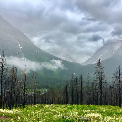 加拿大卡尔加里+路易斯湖+幽鹤国家公园+翡翠湖+朱砂湖+班夫国家公园+强斯顿峡谷+弓河瀑布+明尼旺卡湖+亚伯拉罕湖4日3晚跟团游