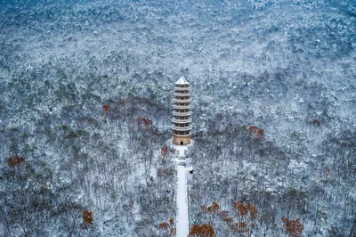 灵谷景区