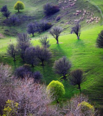 特克斯县游记图文-赛里木湖、伊宁、昭苏、八卦城、那拉提、喀什、帕米尔，九天自驾玩转大半个新疆