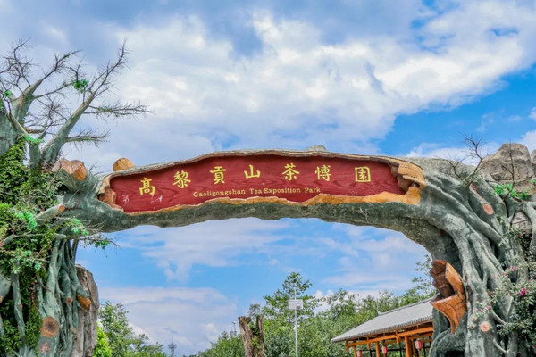 【国家AAA级景区】腾冲高黎贡山茶博园