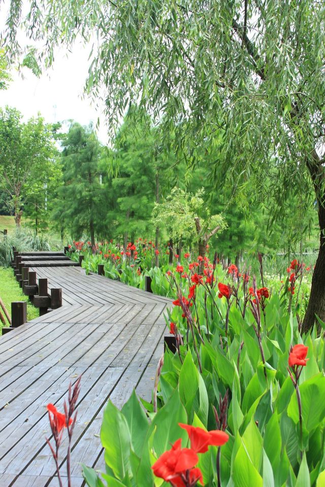 龙灵山生态公园旅行图片 4