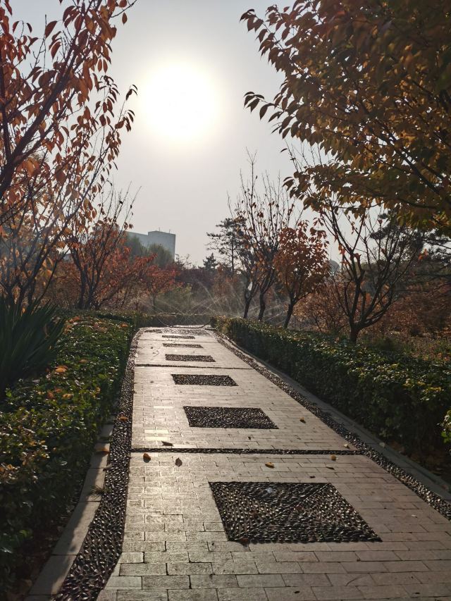 学府公园旅行图片 15