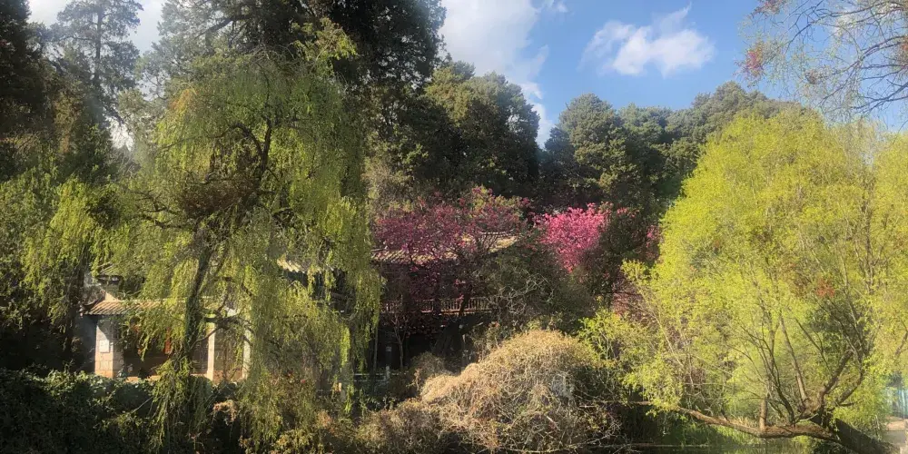 永安旅遊