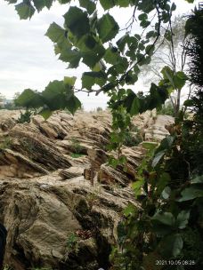 金石园-大连-陌上花开1213