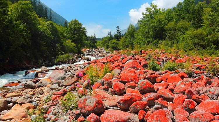 8D7N · Group Tours · Sichuan Panorama Tour,Chengdu+Chengdu Research Base of Giant Panda Breeding+Jiuzhaigou+Sanxingdui Museum+Leshan+Mount Emei,Stay in 5-Diamond Hotels,No shopping& Small Group of 10