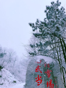 Warmquelle游记图文-武汉周边游必玩推荐：绝美温泉、高山滑雪、吊锅美味…一网打尽！
