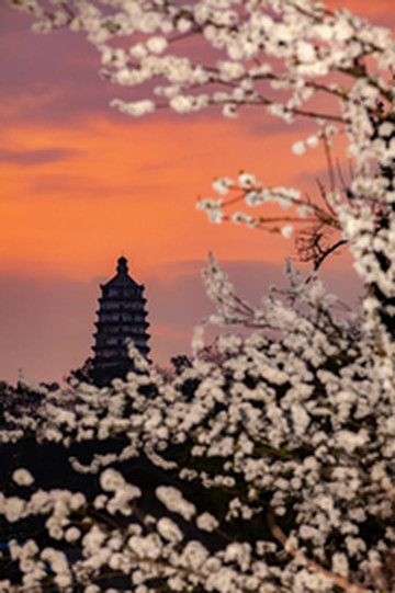 大足区游记图片] 这五万余尊石像，是重庆在这个世界最伟大的传奇