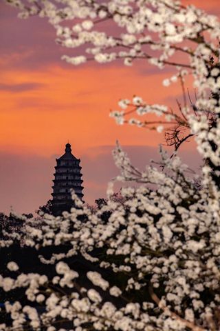 这五万余尊石像，是重庆在这个世界最伟大的传奇