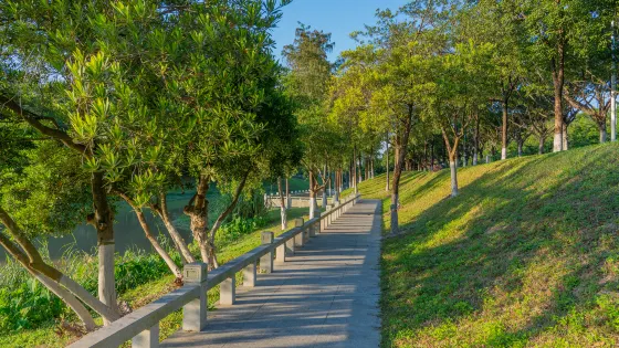 蘿崗濕地公園
