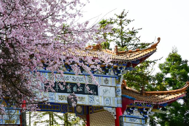 天岳幕阜山森林公园旅行图片 3