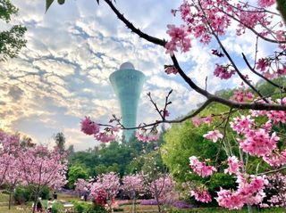 厦门的春天和《开端》取景地满分衔接~