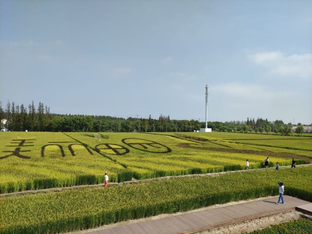 合庆郊野公园旅行图片 1
