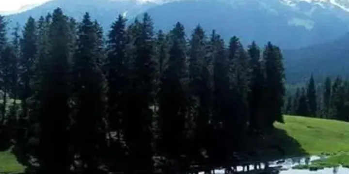 江布拉克黑澇壩