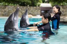 海哺栖息地-新加坡-C-IMAGE