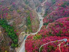 天赐山景区-青州-C-IMAGE