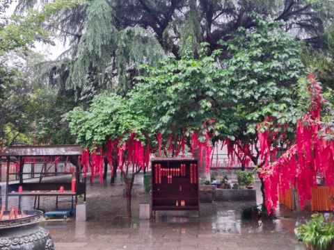 清龙寺