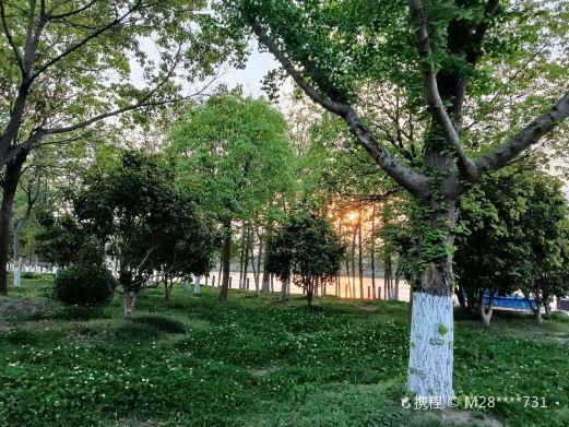 兴化市森林公园