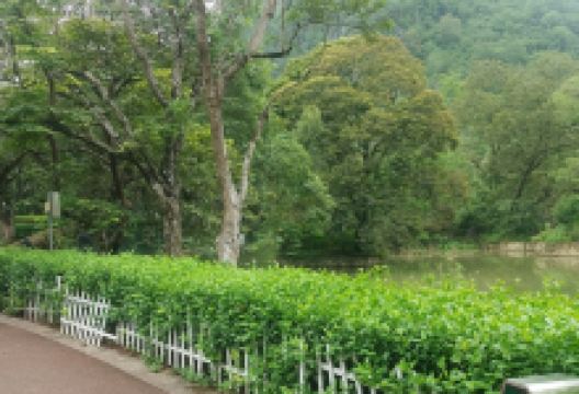 滨江休闲广场景点图片