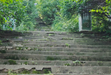 南山公园景点图片