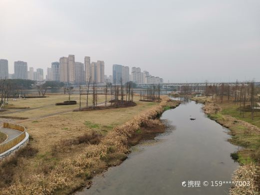 新世纪公园