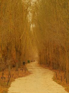阿克苏多浪河国家湿地公园-阿克苏市