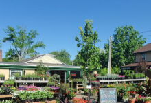 Denny McKeown's Bloomin' Garden Centre & Landscape购物图片