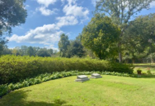 Jimmy Carter Memorial Garden & Gravesite景点图片