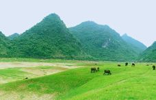 上林霞客桃源壮乡旅游度假区-上林-吴立珍