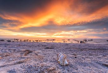 北海银滩景区+北海金海湾红树林生态旅游区+冠头岭国家森林公园【打卡银光闪闪十里银滩&“海岸卫士”红树林&森林系冠头岭&日系风流下村&百年骑楼老街】
