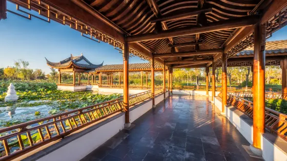 天津水西公園