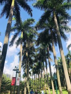 珠江公园-广州-真诚7577