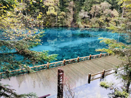 九寨沟自由行实用攻略