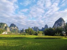 明仕田园-大新-YoYo_5C7N7E9L